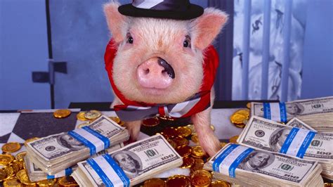 Money Pig brabet